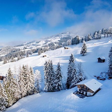 Chalet Alpenherz Villa Kirchberg in Tirol Exterior foto